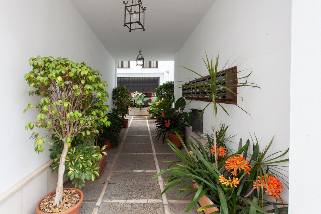 Center Appartement *